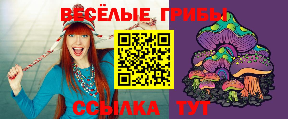 Елизово  как найти   Вход с VPN  Псилоцибиновые грибы Magic Shrooms 